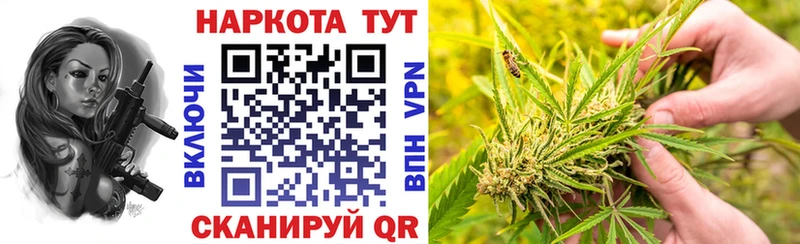 Какие есть наркотики Курганинск Галлюциногенные грибы  Бошки Шишки  Меф  ГАШ 