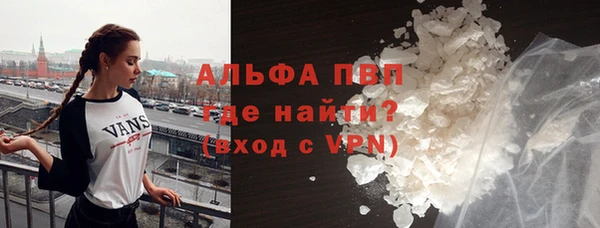 прущие грибы Лихославль