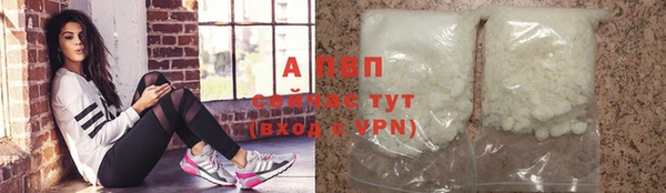 прущие грибы Лихославль