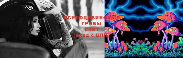 прущие грибы Лихославль