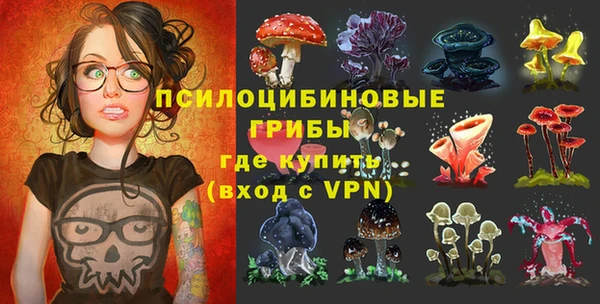 тгк Липки