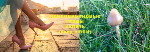 каннабис Лабытнанги