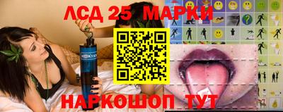 гидра Моздок