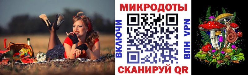 Псилоцибиновые грибы Psilocybe  как найти закладки  Курганинск 