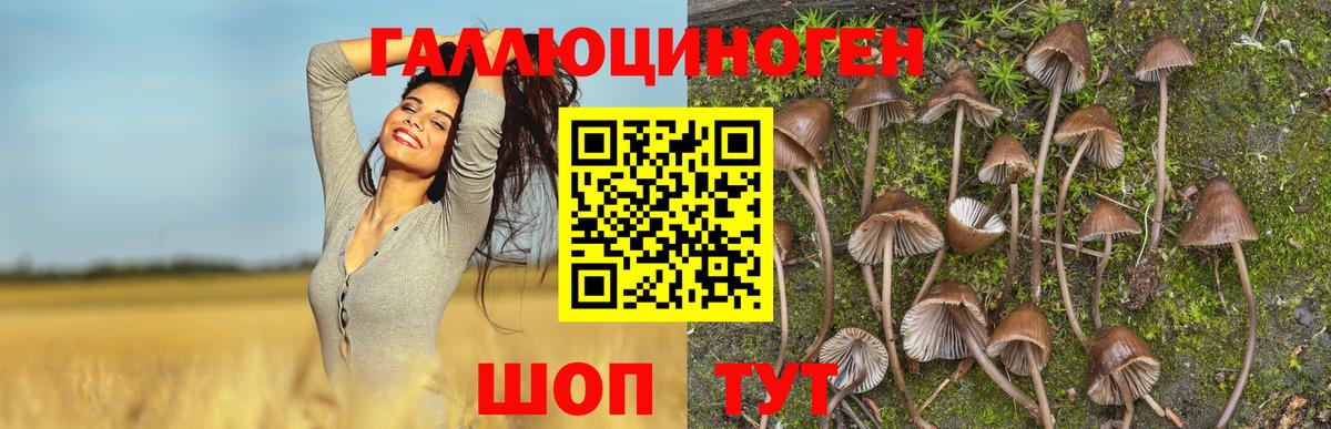 Курганинск  Галлюциногенные грибы мухоморы  Вход с VPN 