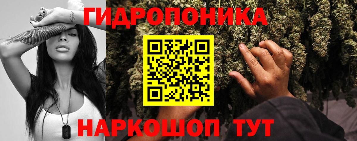 Конопля LSD WEED Курганинск